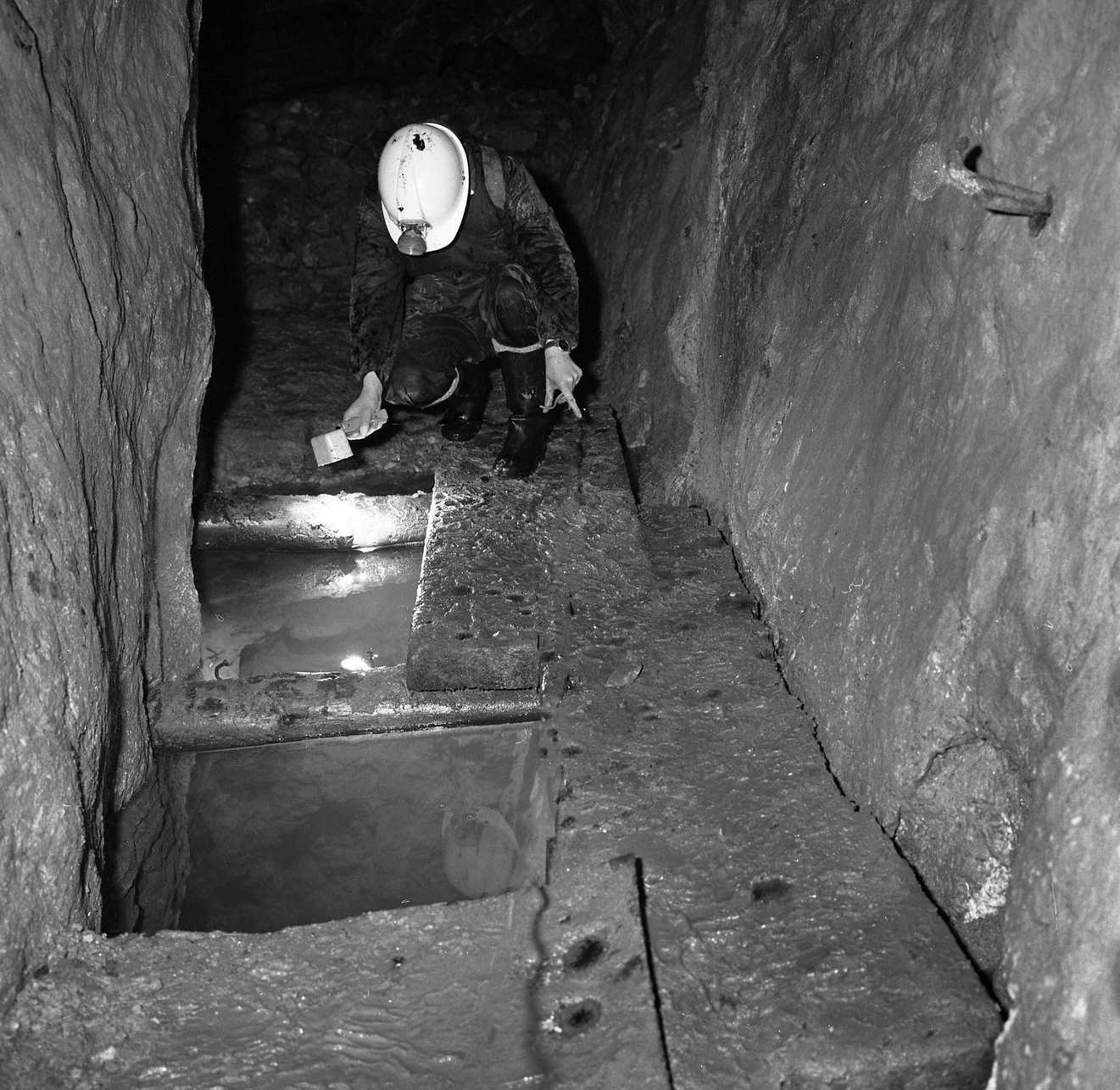 Gillfield Level 1968 f